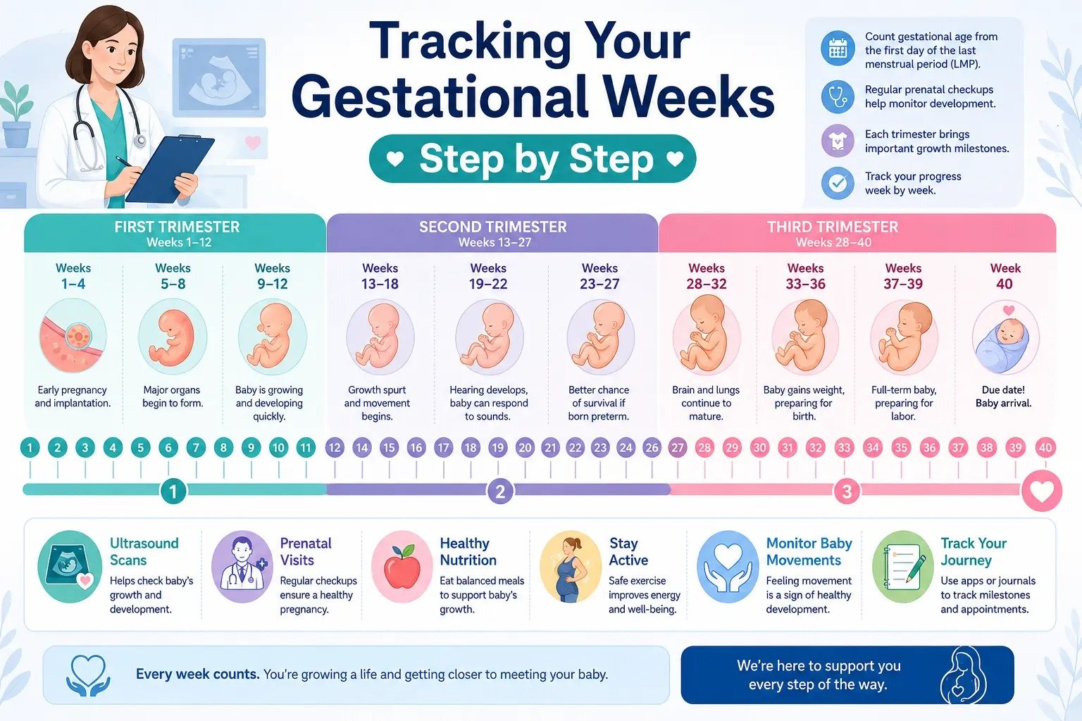 Tracking Your Gestational Weeks Step by Step